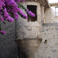 Photo de France - Pézenas